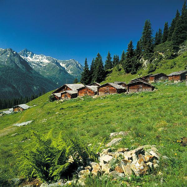 Alp Chalet Appartement Kappl  Exterior foto